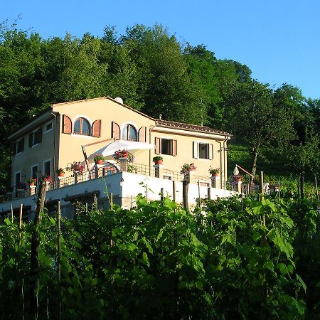 Galleria Ars Apua Bed and Breakfast Carrara Eksteriør billede