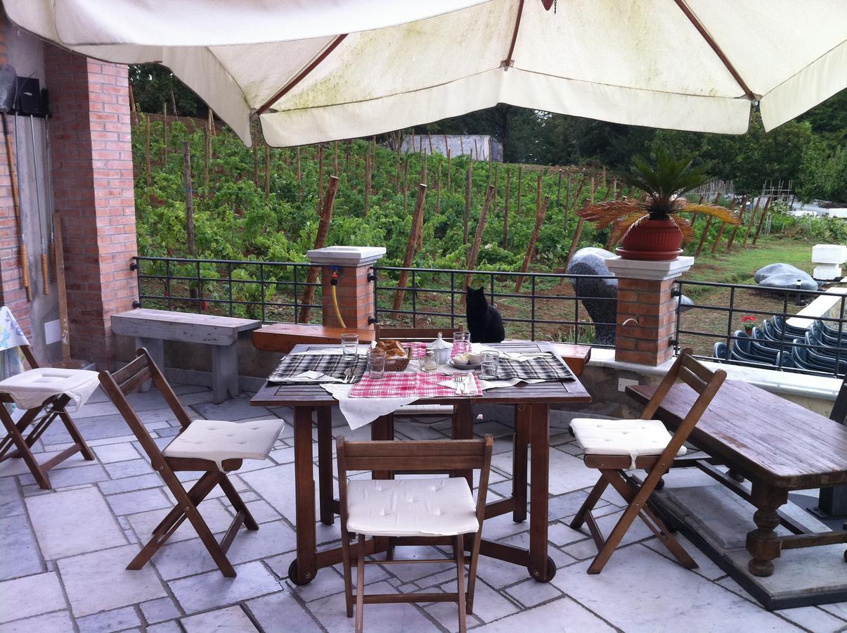 Galleria Ars Apua Bed and Breakfast Carrara Eksteriør billede